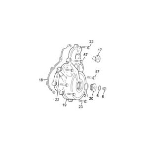 22 DEPRESOR CARTERS ENDURO
