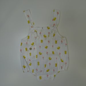 Ranita pollitos – BBZ